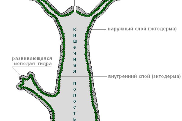 Кракен 13at